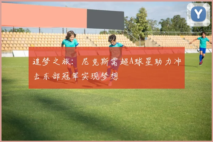 追梦之旅：尼克斯需超A球星助力冲击东部冠军实现梦想